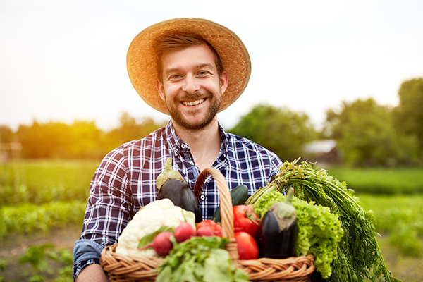 The Era of Substrate Nutrition Soil Keeps the Plant Nutrition on Course 