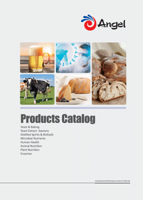 Catálogo de productos de Angel