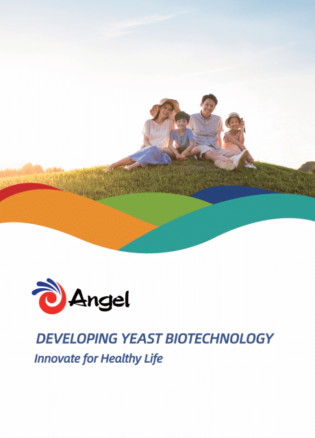 Perfil de Angel Yeast