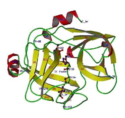 Essential knowledge for fermentation industry - what is peptone？
