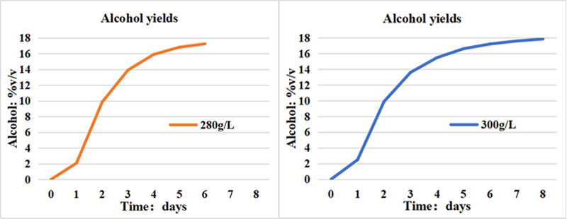 Sugar concentration, 280-300 grams per liter.jpg