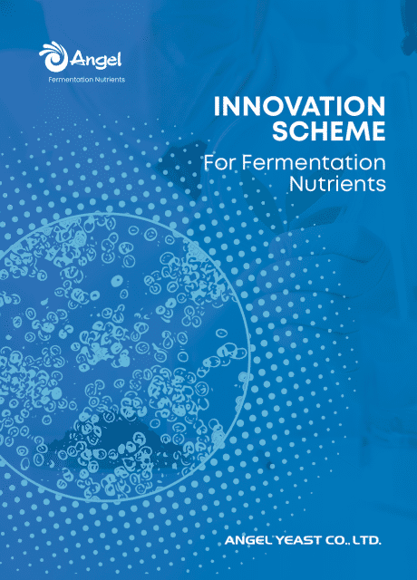 Schéma d’innovation pour les nutriments de fermentation