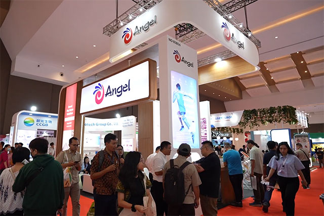 Angel Yeast Shines at 2024 Fi Asia Indonesia with Yeast Protein and Flavor Solutions