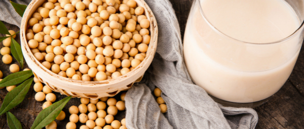 Application of Annzyme? protease in soybean peptide