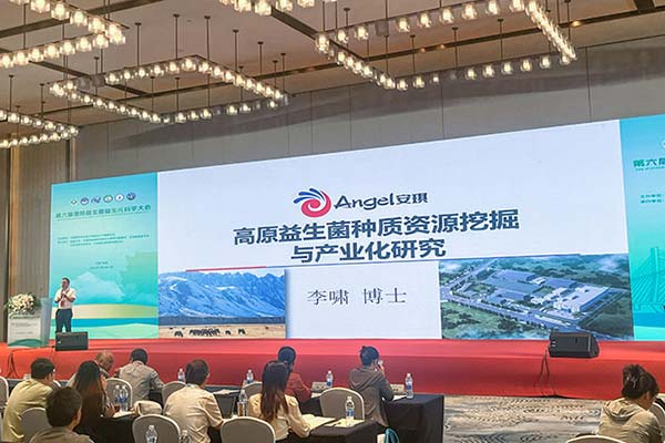 Angel Shines at the 6th International Probiotics and Prebiotics Science Conference