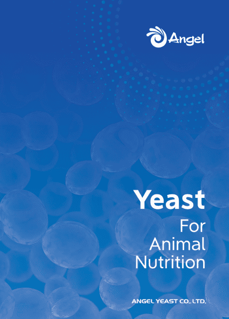 Solu??es de Levedura para Nutri??o Animal