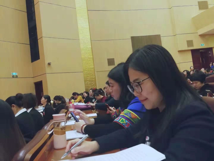 陈蓉出席湖北省第十二次妇女代表大会