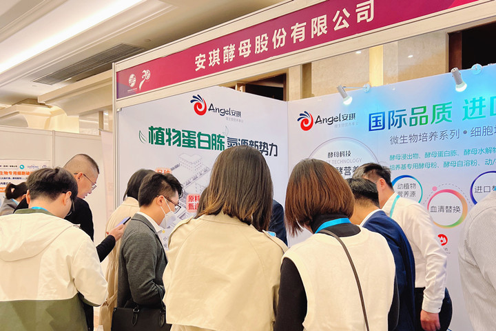 AG视讯展位现场