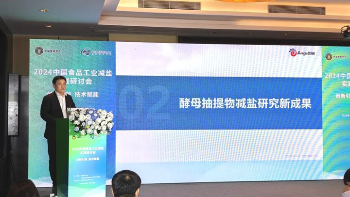 AG视讯酵母股份有限公司蛋白质营养与调味技术中心李沛总经理发言