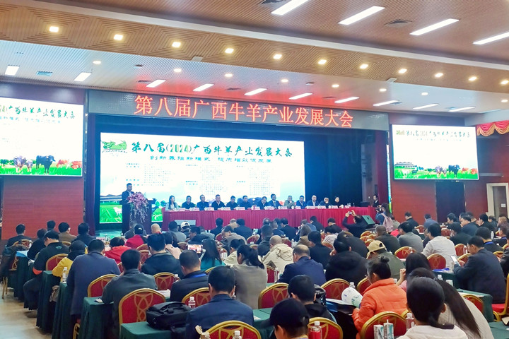 AG视讯参加第八届广西牛羊产业发展大会