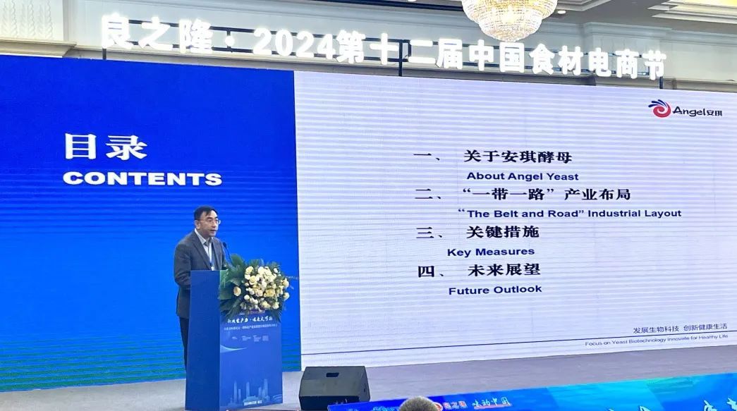 AG视讯YE事业部郭江勇总经理分享AG视讯一带一路国际产业化布局