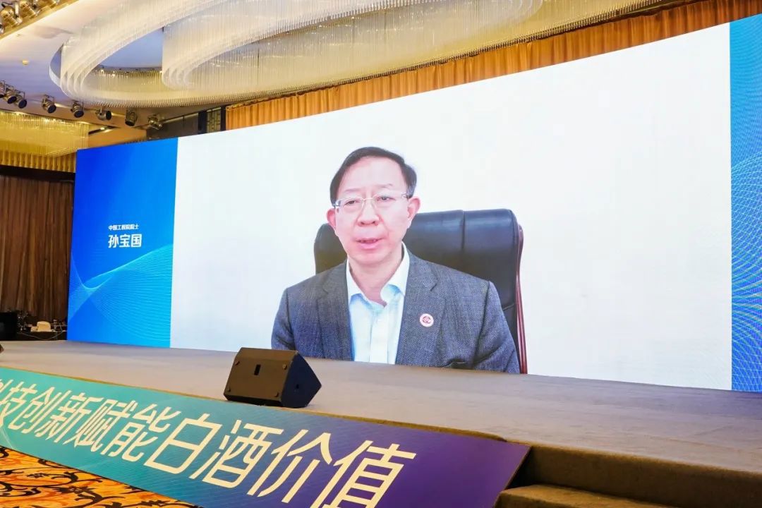 中国工程院院士孙宝国