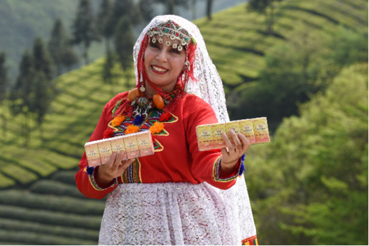 留学生们纷纷亲身体验了采茶、制茶