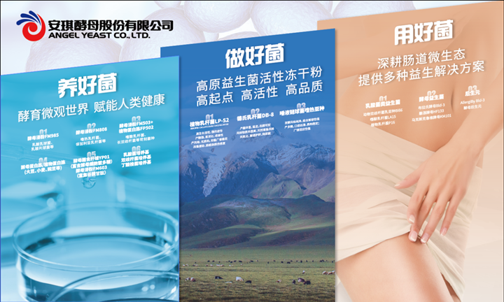 AG视讯布拉氏酵母Bld-3