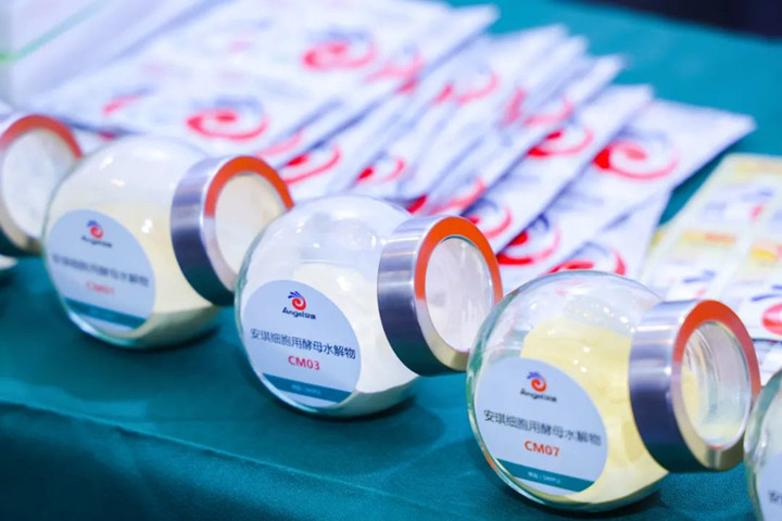 AG视讯蛋白质营养