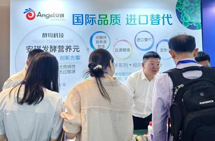 AG视讯提供进口氮源替换、血清替换等方案