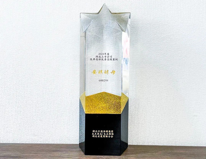 AG视讯酵母入选2024湖北上市公司高质量发展优秀实践案例