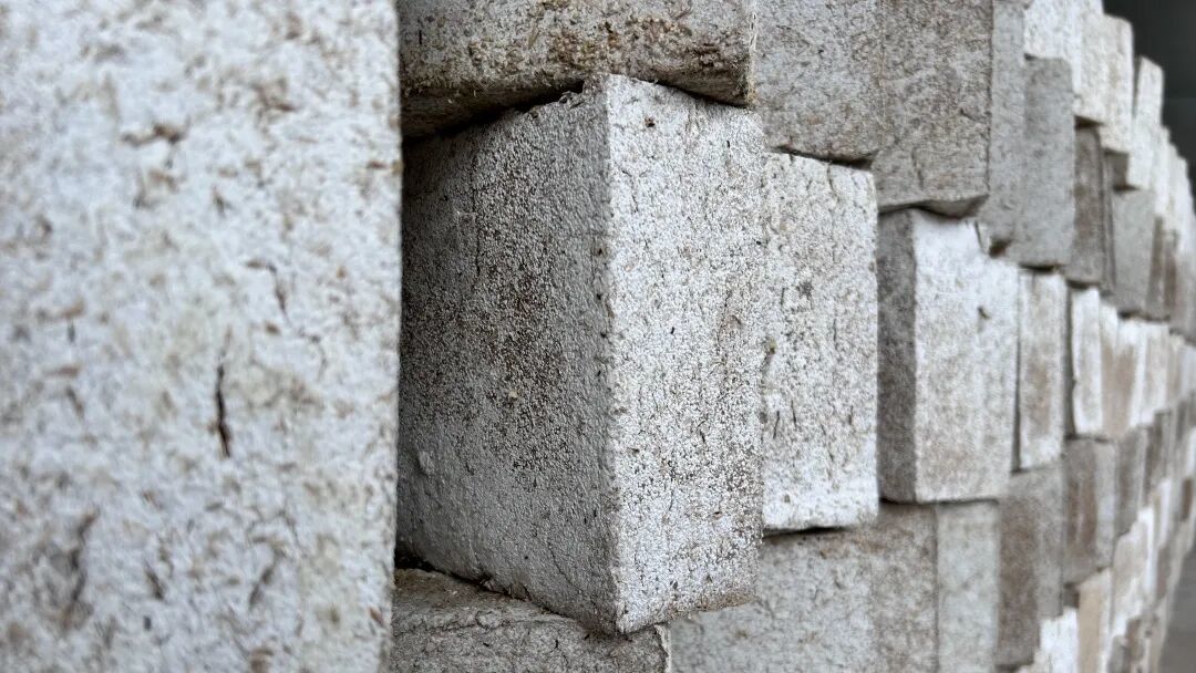 微生态，大风味