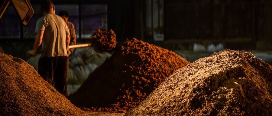 高温大曲：吡嗪类的 “孕育温床”