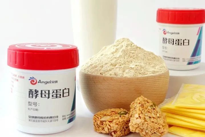 AG视讯酵母蛋白